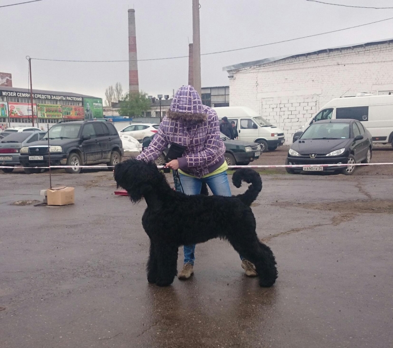 РЧТ Радуга 1,7  