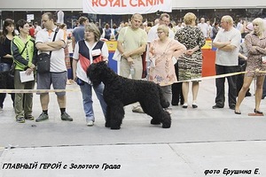 РЧТ  