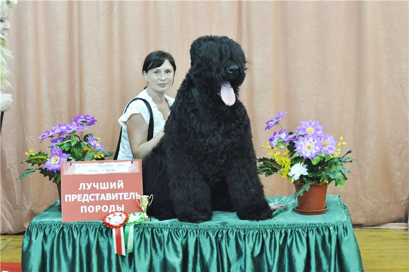 РЧТ  