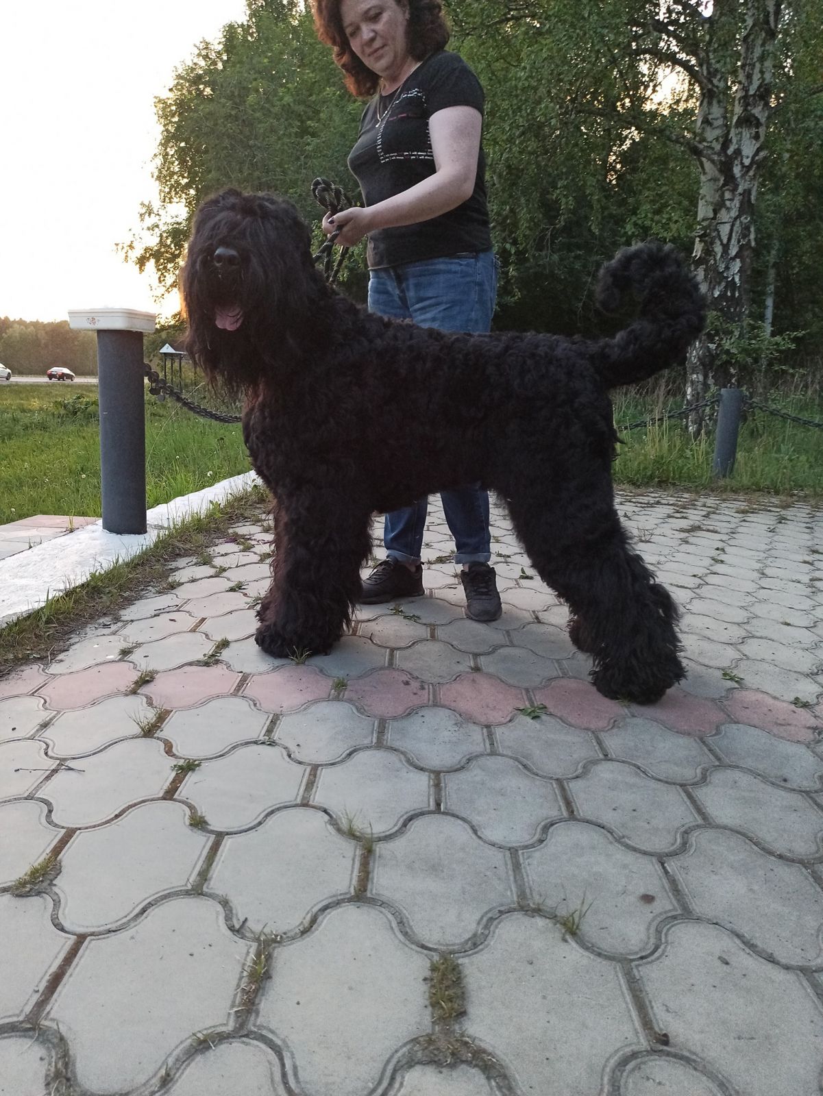 РЧТ  