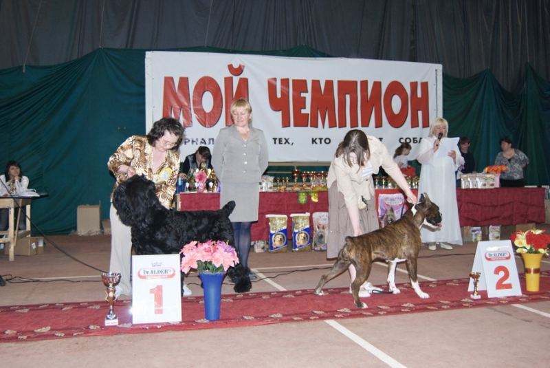 РЧТ  