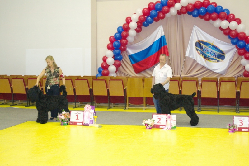 Данилкин Каприз Афина, Маркиза Ангелов Анжелика  