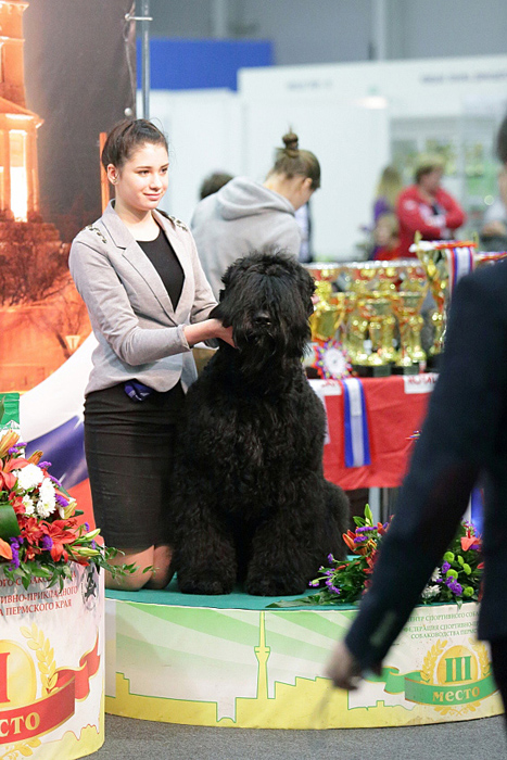 фото Новости 02.02.2014 Пермь , международная выставка.  