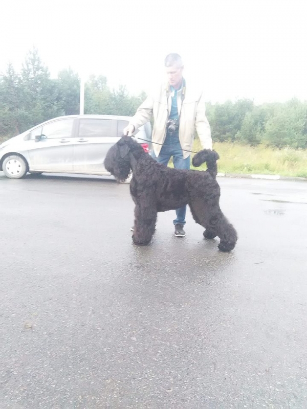 РЧТ 22  месяца  