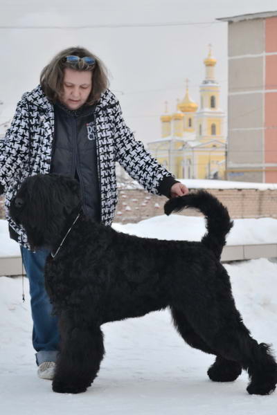 РЧТ Алекс. Кыштым январь 2016 .  
