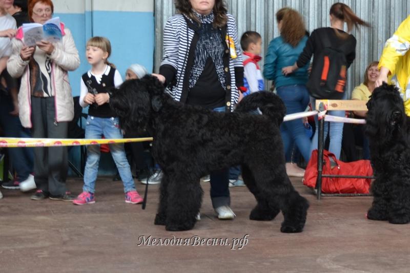 РЧТ  