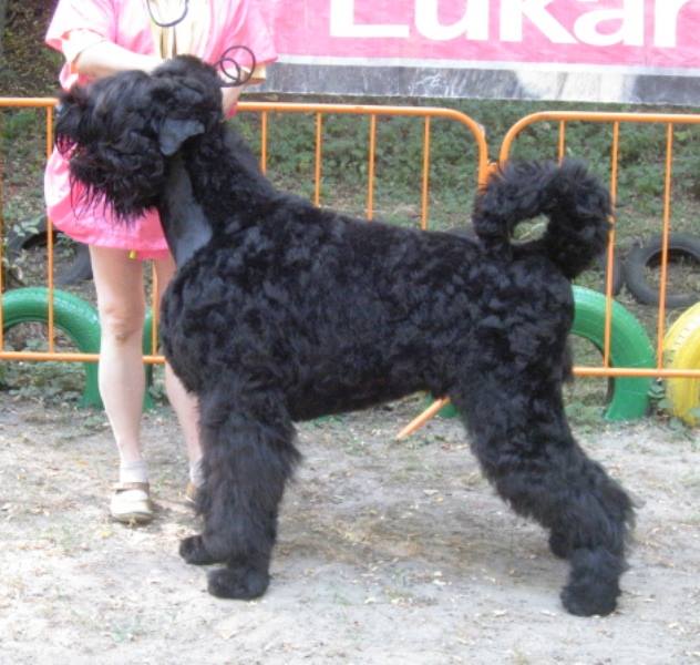 РЧТ 11 мес  