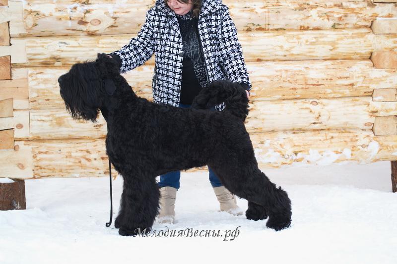 Мелодия Весны Алиса  