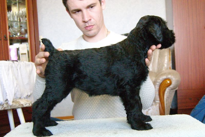 РЧТ  